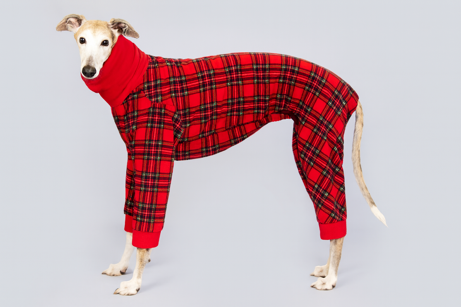 Greyhound, Whippet, Italian Greyhound Polar Fleece Pyjamas - Image 3