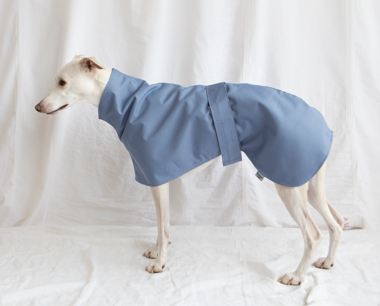 Lightweight waterproof Greyhound Coats , Raincoats for Whippets ,Cotton Lined raincoats. - Image 4