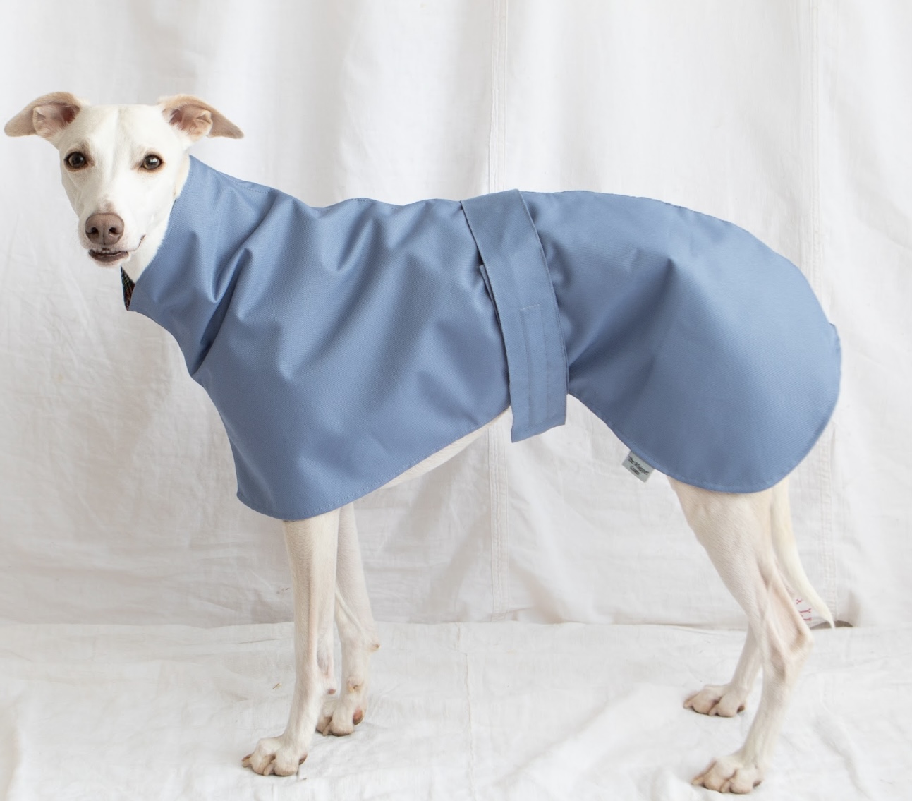Lightweight waterproof Greyhound Coats , Raincoats for Whippets ,Cotton Lined raincoats. - Image 2