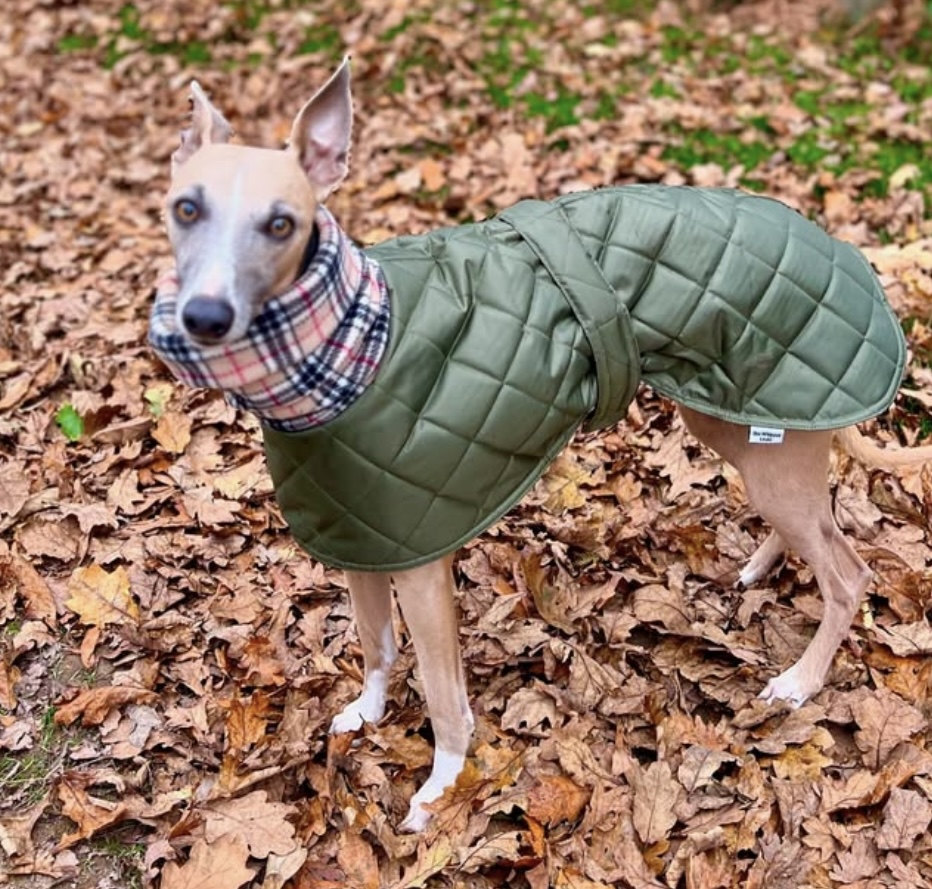 Waterproof Winter Whippet and Greyhound Quilted Coats - Image 8