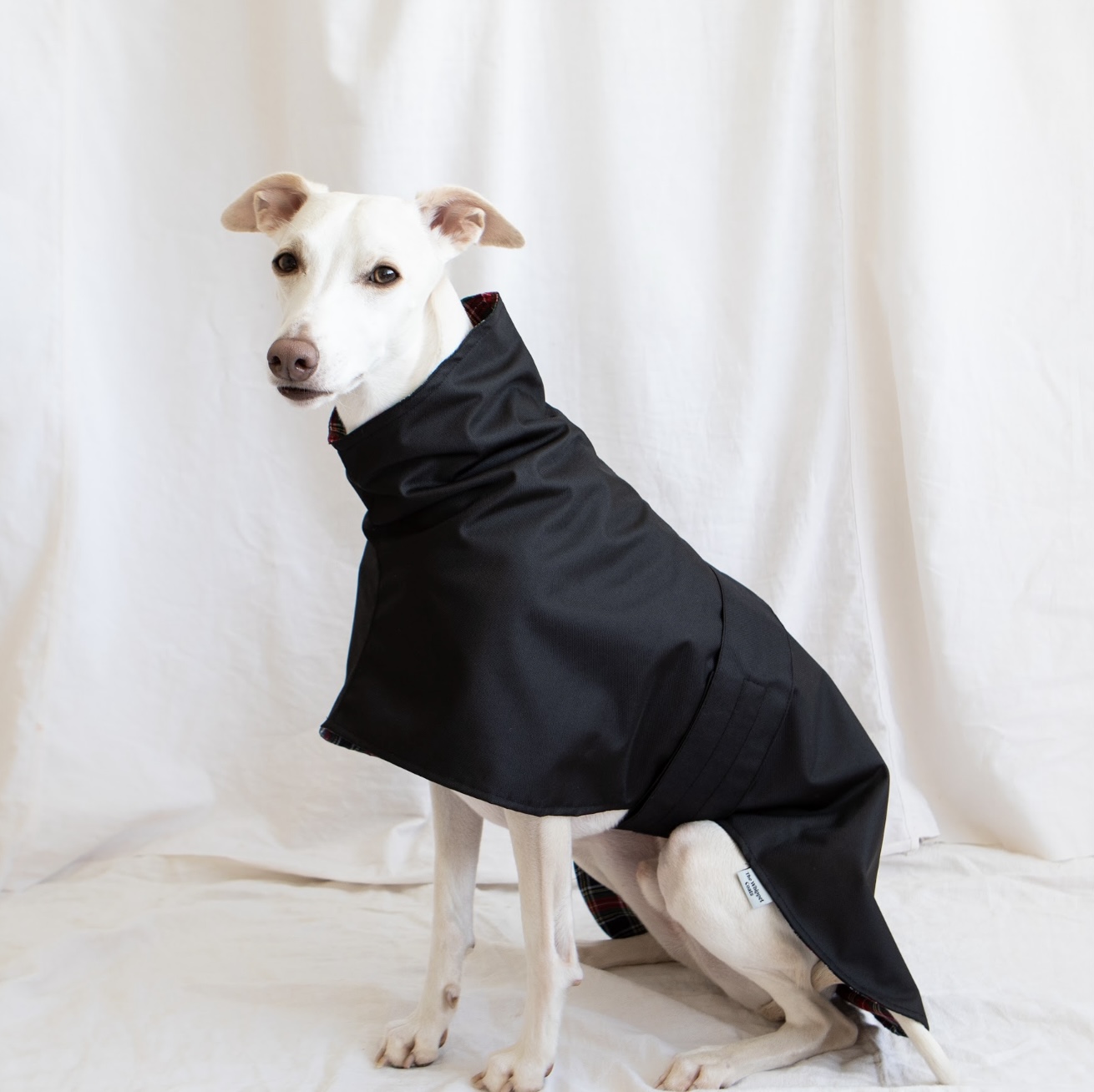 Lightweight waterproof Greyhound Coats , Raincoats for Whippets ,Cotton Lined raincoats. - Image 8