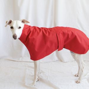 Lightweight waterproof Greyhound Coats , Raincoats for Whippets ,Cotton Lined raincoats.