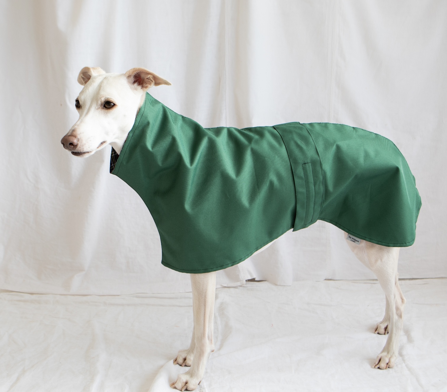 Lightweight waterproof Greyhound Coats , Raincoats for Whippets ,Cotton Lined raincoats. - Image 7