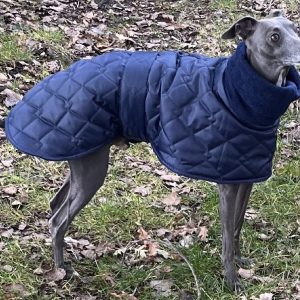 Navy blue Whippet coat , Greyhound, Lurcher and Italian Greyhound Coat