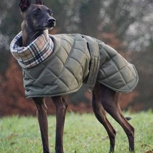 Italian Greyhound Waterproof Quilted Winter Coat – Handmade Padded Jacket for Italian Greyhounds