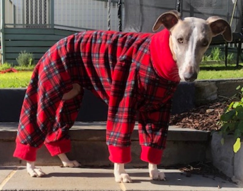 Greyhound, Whippet, Italian Greyhound Polar Fleece Pyjamas - Image 7