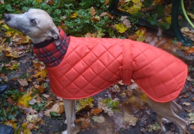 Waterproof Winter Whippet and Greyhound Quilted Coats - Image 2
