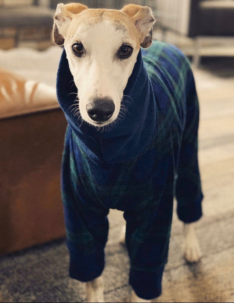 Greyhound, Whippet, Italian Greyhound Polar Fleece Pyjamas - Image 8