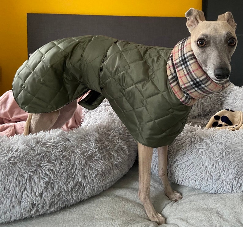 Waterproof Winter Whippet and Greyhound Quilted Coats - Image 3