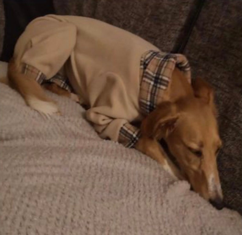 Greyhound, Whippet, Italian Greyhound Polar Fleece Pyjamas - Image 6