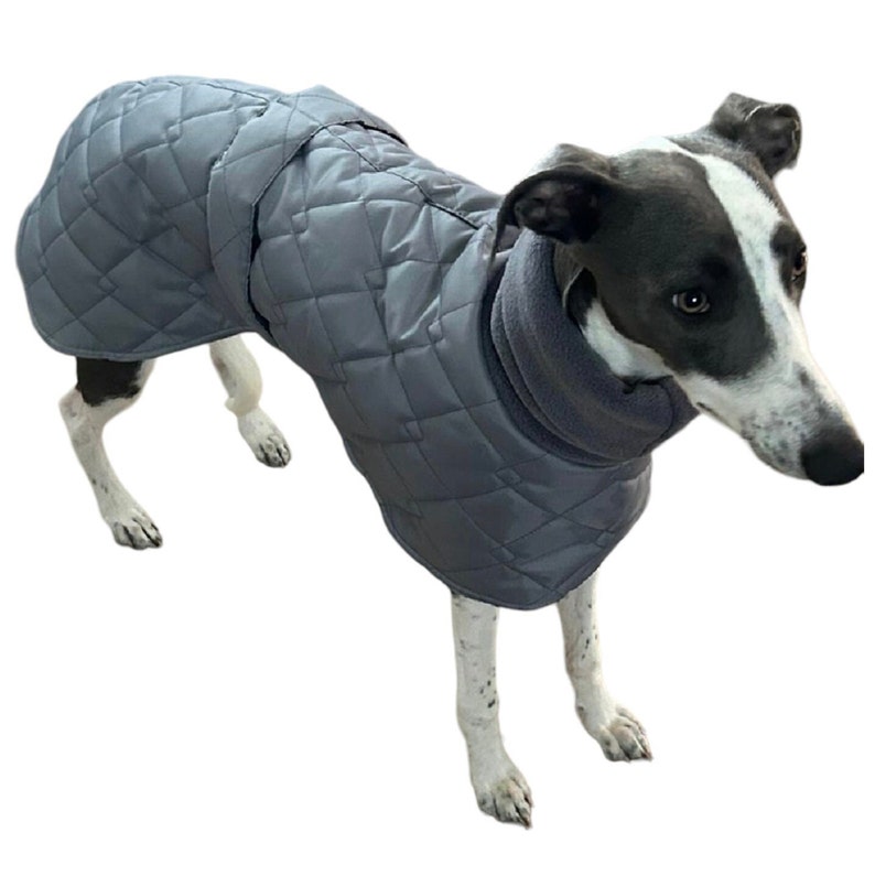Waterproof Winter Whippet and Greyhound Quilted Coats - Image 5