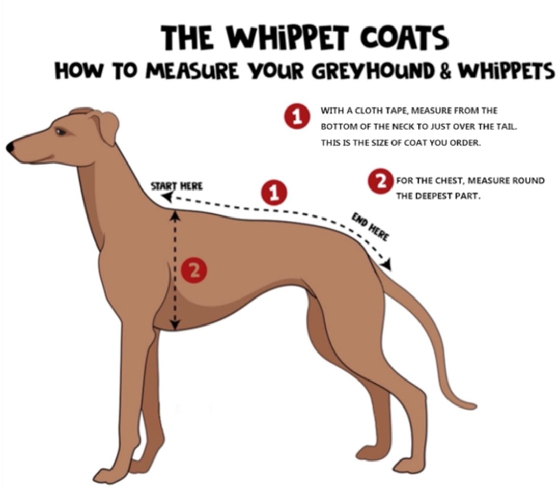 Whippet & Greyhound Waterproof Fleece Lined Dog Coat – Warm Winter RainCoat - Image 2