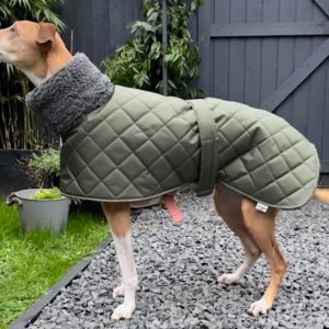 Waterproof Greyhound Coats by The Whippet Coats
