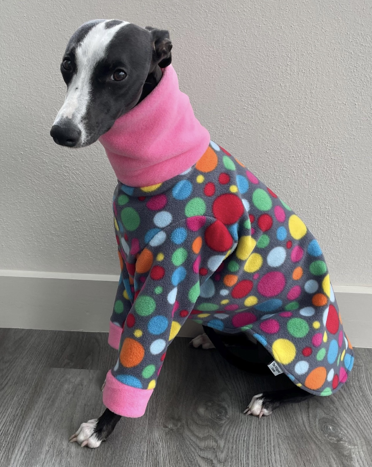Whippet pyjamas , Greyhound pyjamas, Italian greyhound pyjamas - Image 4