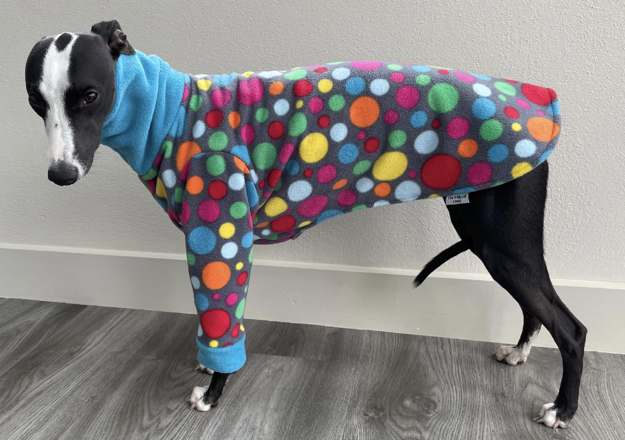 Whippet pyjamas , Greyhound pyjamas, Italian greyhound pyjamas - Image 2