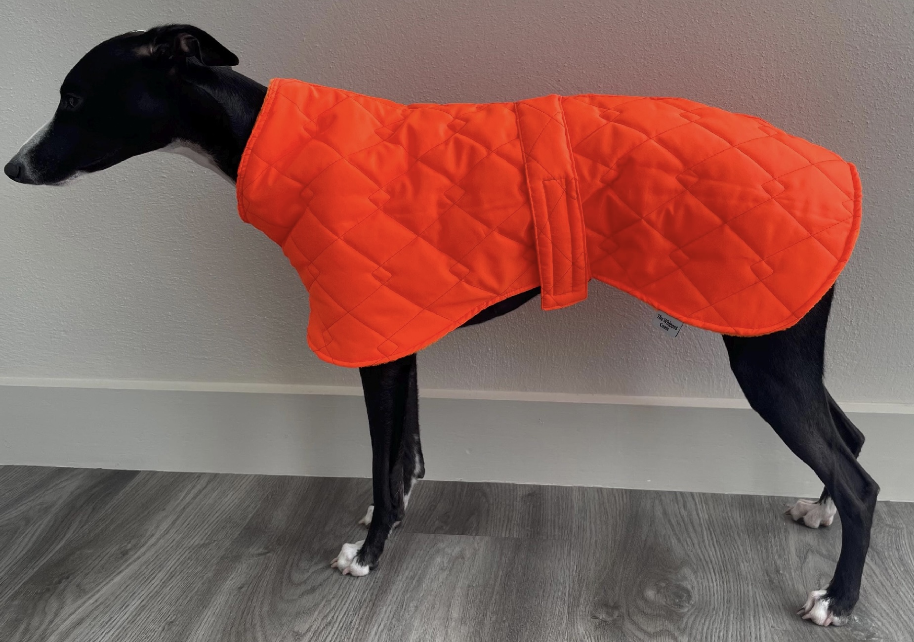 Hi Vis Whippet Coat Hi Vis Greyhound Coat - Image 3