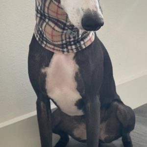 Polar Fleece Whippet & Greyhound Snood Hat – Soft, Warm Neck Warmer for Sighthounds