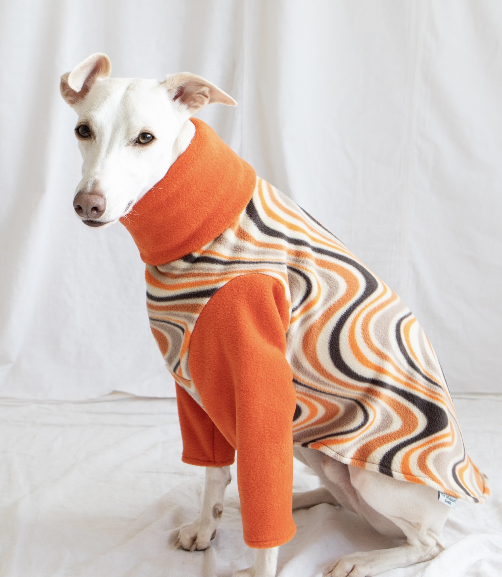 Whippet greyhound pyjamas - Image 6