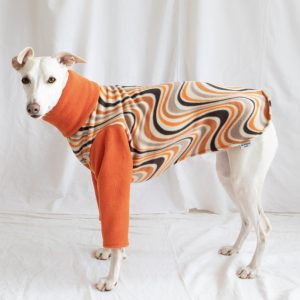 Whippet greyhound pyjamas