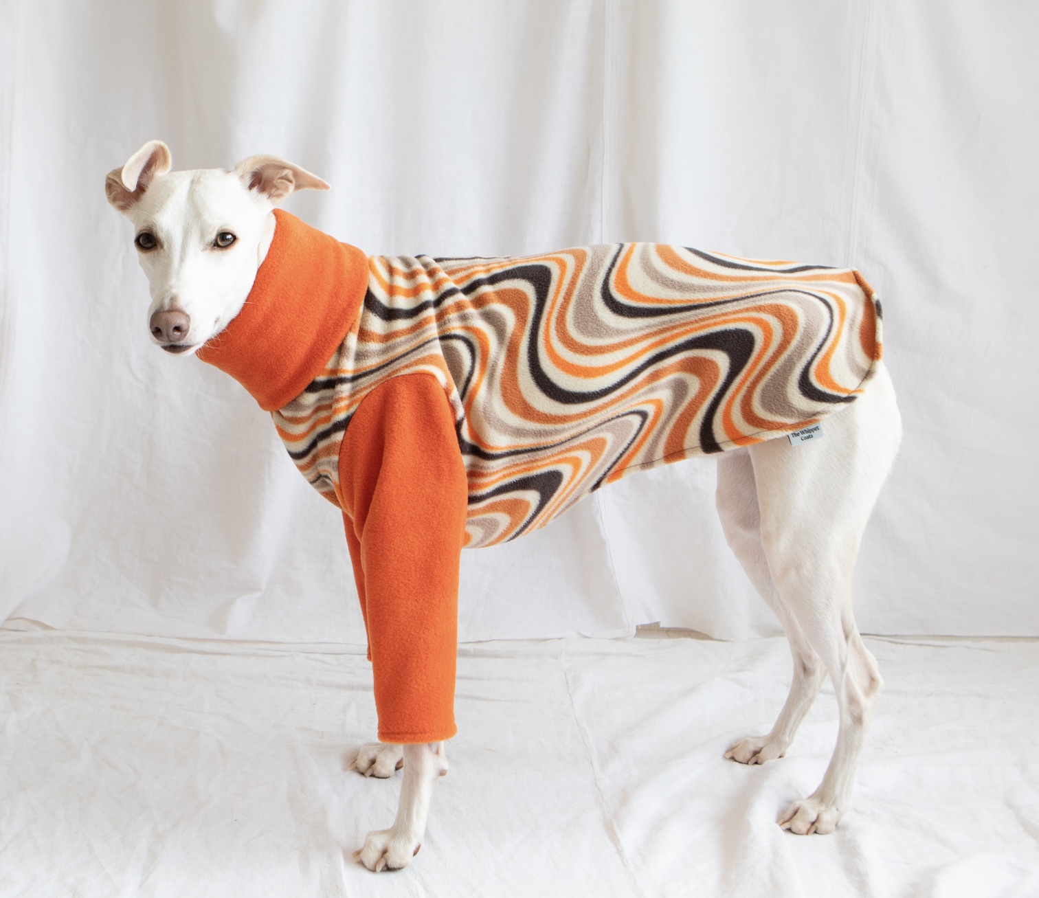 Whippet greyhound pyjamas