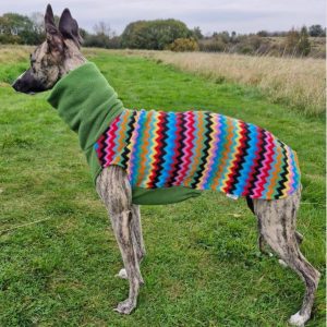 Fleece Jumper for whippets , greyhound & Sighthounds – Warm Dog Sweater