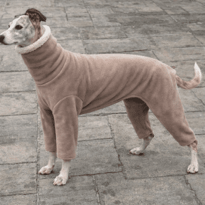 Whippet Outdoor Pyjamas – Bodysuit Style for Greyhounds & Sighthounds